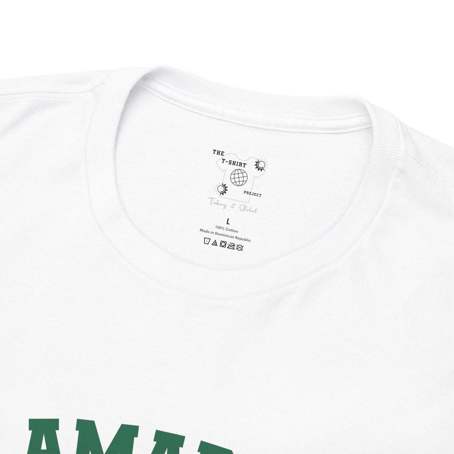 Mexico MTC Spanish - The Classic P-Day T-Shirt