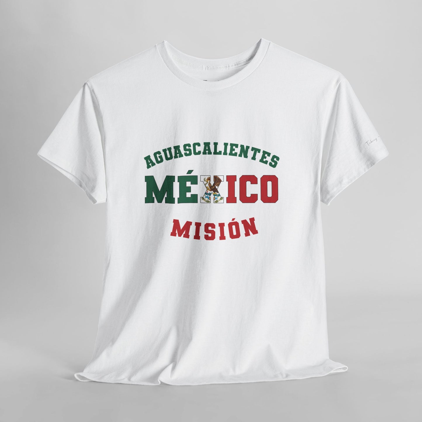 Mexico Aguascalientes Spanish - The Classic P-Day T-Shirt