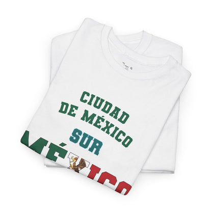 Mexico Mexico City South Spanish - The Classic P-Day T-Shirt