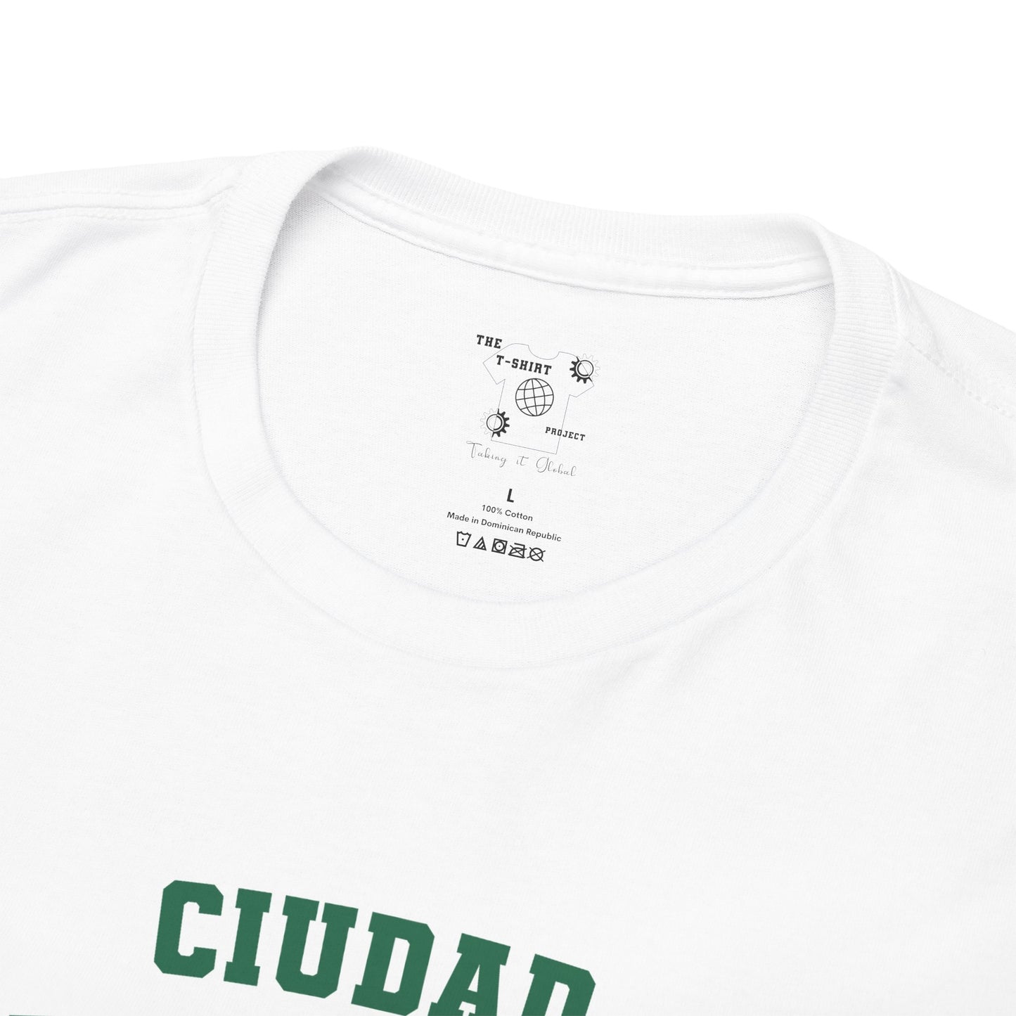 Mexico Mexico City East Spanish - The Classic P-Day T-Shirt